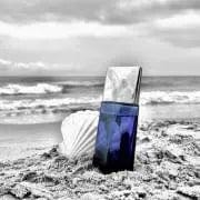 L´Eau Bleue D´Issey Pour Homme By Issey Miyake For Men 2.5oz EDT Spray
