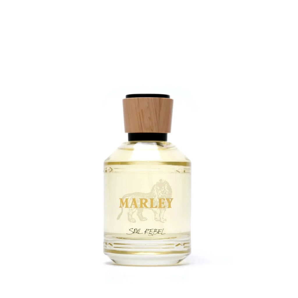 Soul Rebel By Bob Marley For Unisex 3.4oz EDP Spray